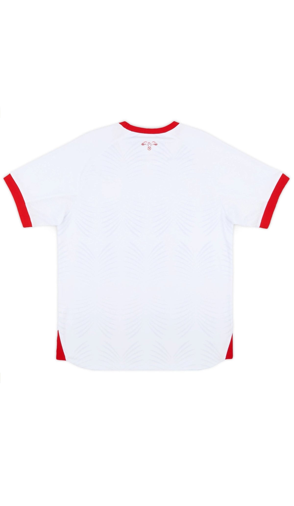 24/25 JORDAN HOME JERSEY