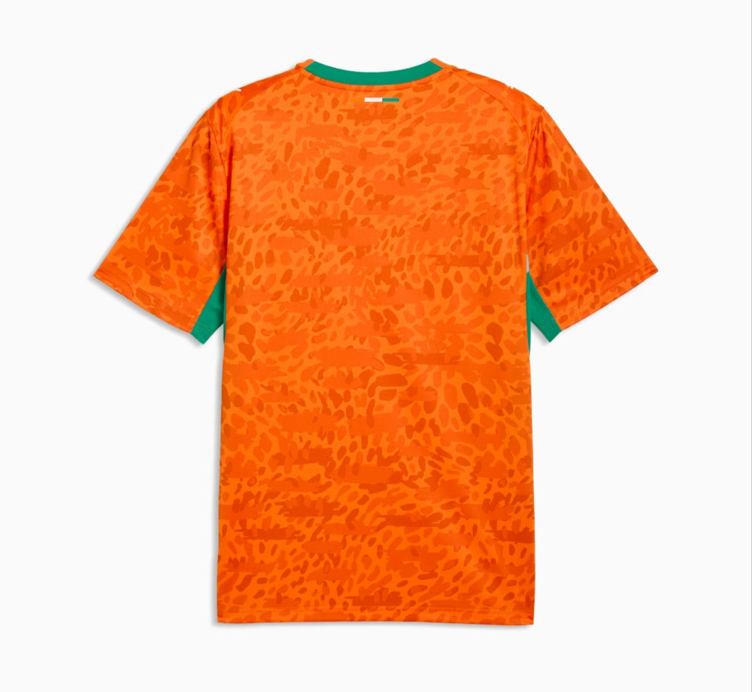 Player Version 2026 Ivory Coast World Cup Home Jersey
