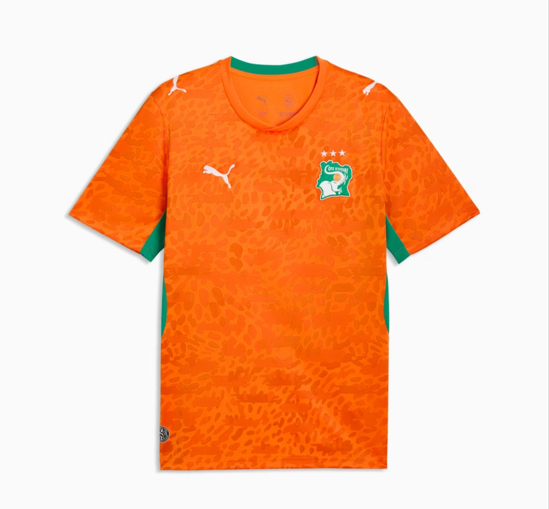 Player Version 2026 Ivory Coast World Cup Home Jersey